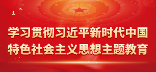 學習貫徹習近平新時代中國特色社會主義思想主題教育